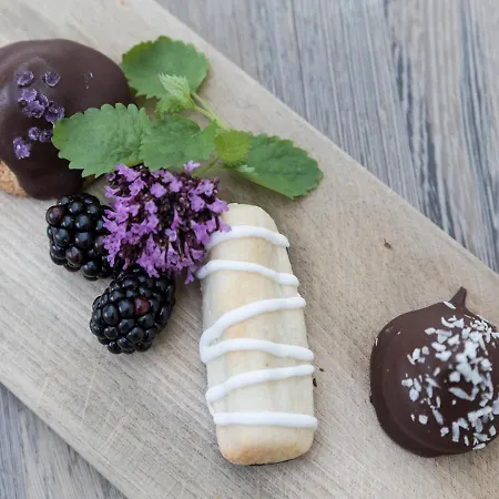 מלון Skovshoved 4*